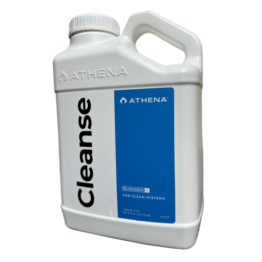 Athena Cleanse, 3.8L