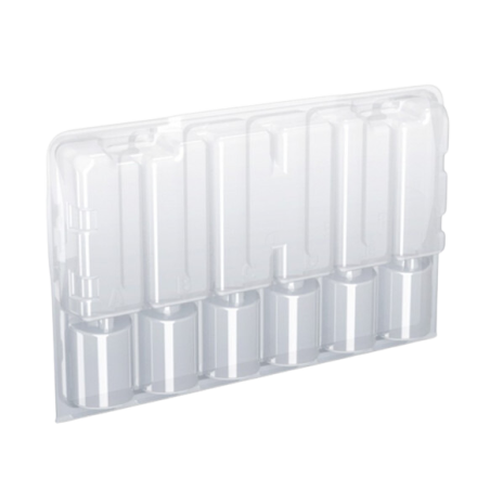 Transparent transport box for 6 cuttings 277 x 175 x 48 mm