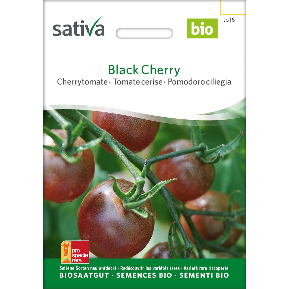 Sativa Black Cherry –  Cherrytomate Bio