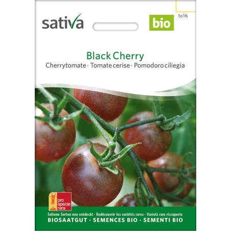 Sativa Black Cherry –  Cherrytomate Bio