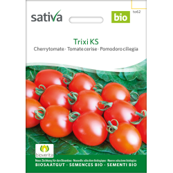 Sativa Trixi KS –  Cherrytomate Bio