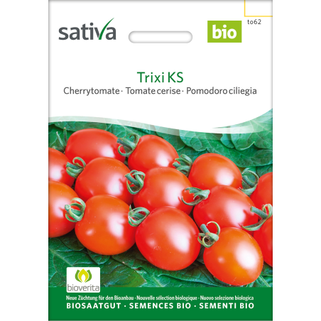 Sativa Trixi KS –  Cherrytomate Bio