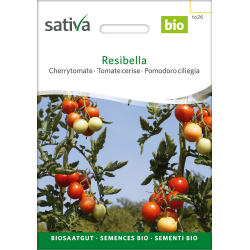 Sativa Resibella –  organic cherry tomato