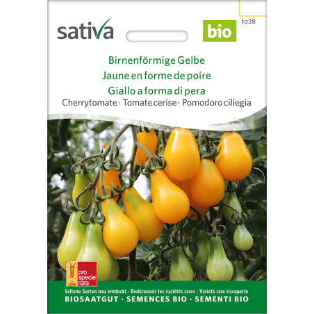 Sativa Birnenförmige Gelbe  –  Cherrytomate Bio