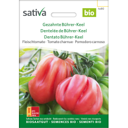 Sativa Bührer-Keel dentate  – organic beef tomato