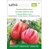 Sativa Bührer-Keel dentate  – organic beef tomato