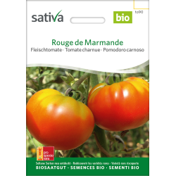 Sativa Rouge de Marmande  – organic beef tomato