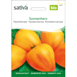 Sativa Sonnenherz  – organic beef tomato