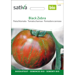 Sativa Black Zebra  –  Fleischtomate Bio