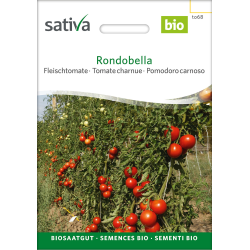 Sativa Rondobella  –  Fleischtomate Bio