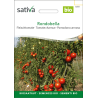 Sativa Rondobella  –  Fleischtomate Bio