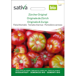 Sativa Originale de Zürich  – tomate charnue bio