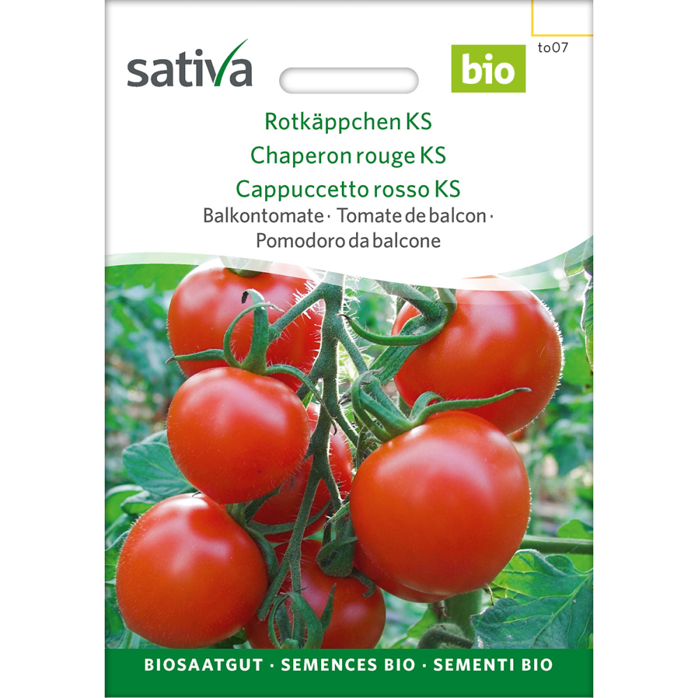 Sativa Petit Chaperon rouge KS – tomate charnue bio