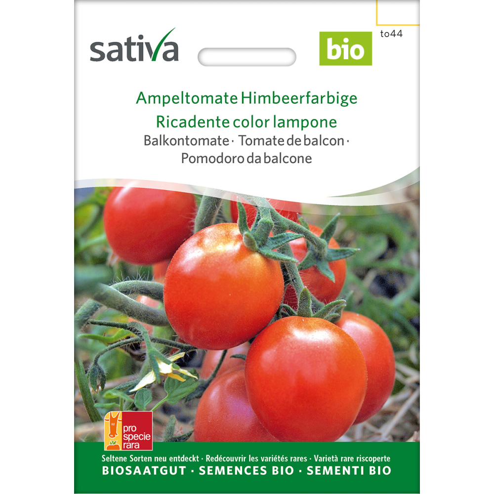 Sativa Couleur framboise – tomate balcon bio