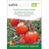 Sativa Raspberry Tomato  – organic balcony tomato