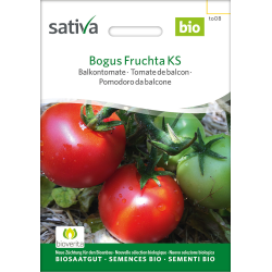 Sativa Bogus Fruchta KS - Balkontomate Bio