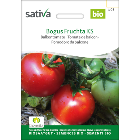 Sativa Bogus Fruchta KS – tomate balcon bio