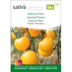 Sativa Gelbe von Thun - Tomate Bio