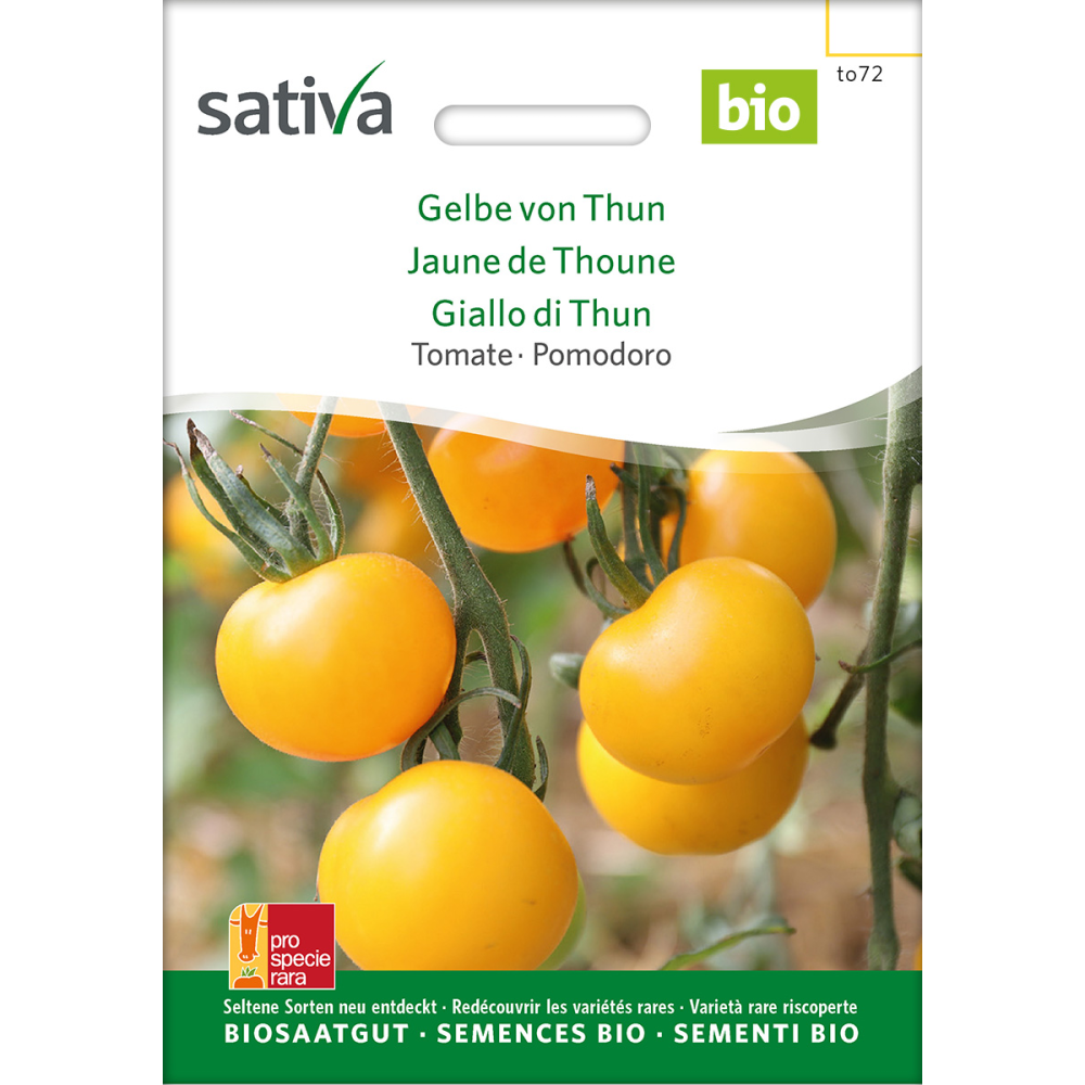 Sativa Yellow of Thun – organic tomato