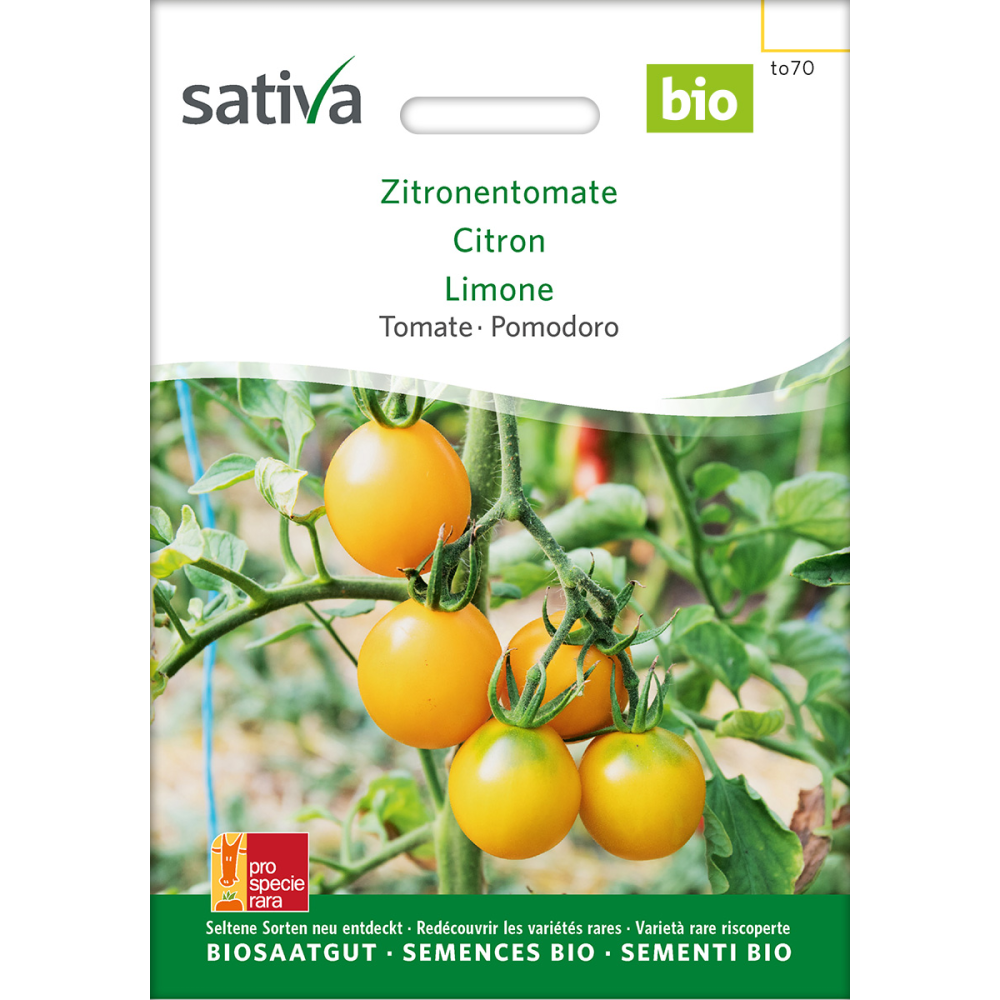 Sativa Zitronentomate - Tomate Bio