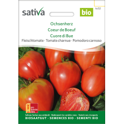 Sativa Oxheart  – organic beef tomato