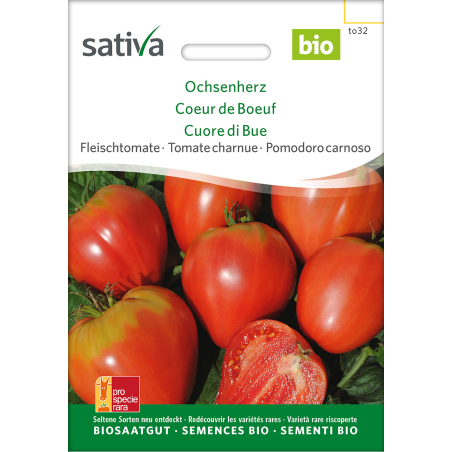 Sativa Cœur de bœuf  – tomate charnue bio