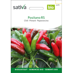 Sativa Positano RS  –  Chilli Bio