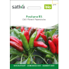 Sativa Positano RS  –  Chilli Bio