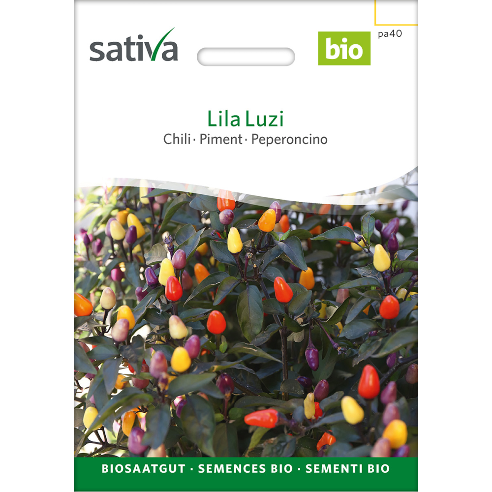 Sativa Lila Luzi - Piment bio