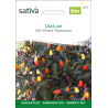 Sativa Lila Luzi  –  Chilli Bio