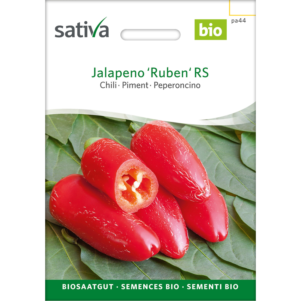 Sativa Jalapeño Ruben RS  –  Chilli Bio