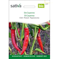 Sativa De Cayenne  –  Chilli Bio